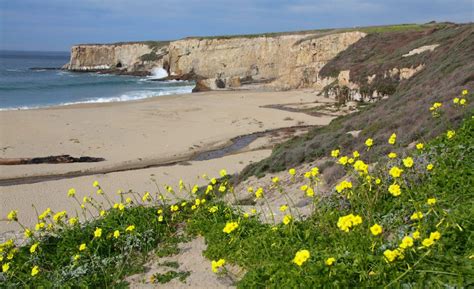 Bonny Doon Beach in Santa Cruz, CA